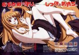BUY NEW spice and wolf - 174585 Premium Anime Print Poster
